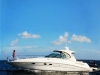 sek-boat-girl-on-front